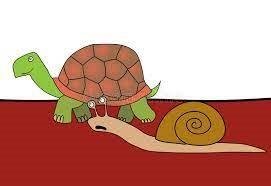 The Tortoise and The Snail